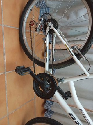 Bicicleta MTB Scott Evolution