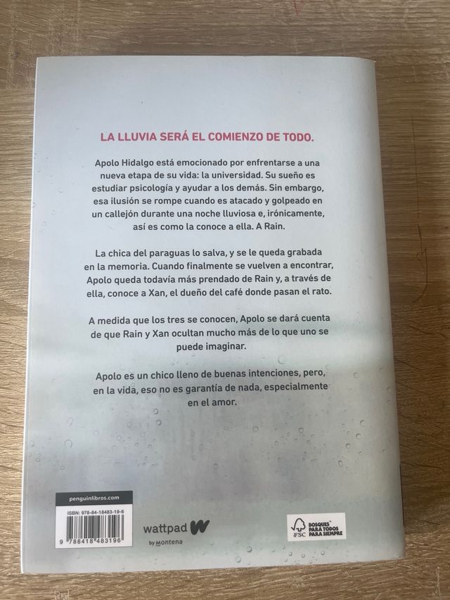 A través de la lluvia (edición revisada por la ...