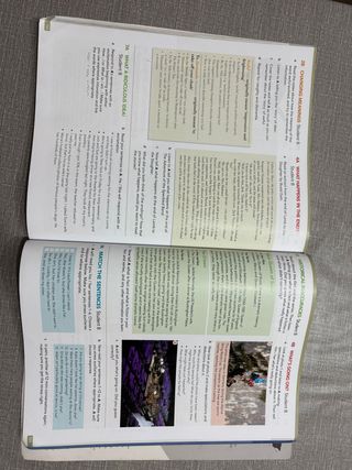 English File