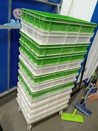 Bandejas de panadería - 7 uds.