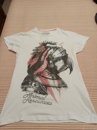 Lote camisetas manga corta 