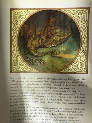 Libro The Flight of Dragons Vuelo de los Dragones