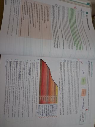 Lengua Castellana y Literatura 4to ESO