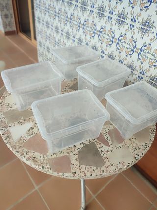 5 Cajas Plástico Transparente