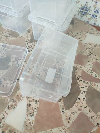 5 Cajas Plástico Transparente