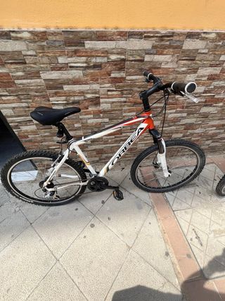 Bicicleta Orbea montaña
