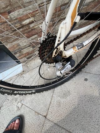 Bicicleta Orbea montaña