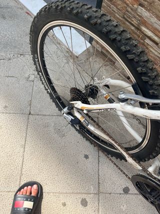 Bicicleta Orbea montaña