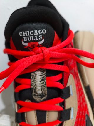 Zapatillas Baloncesto Chicago Bulls