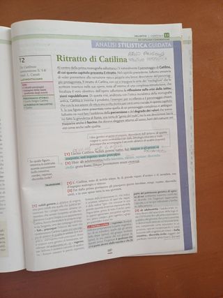 Homo sum civis sum 
