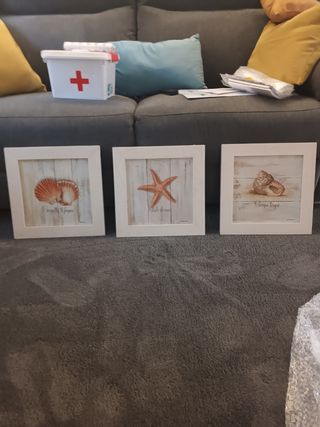 3 Cuadros Decorativos conchas, estrella mar