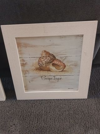 3 Cuadros Decorativos conchas, estrella mar