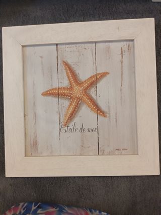 3 Cuadros Decorativos conchas, estrella mar