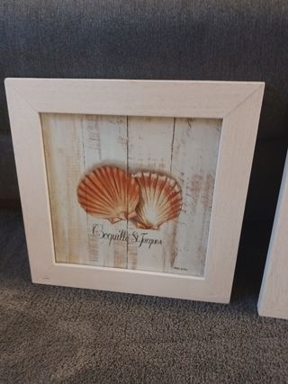 3 Cuadros Decorativos conchas, estrella mar