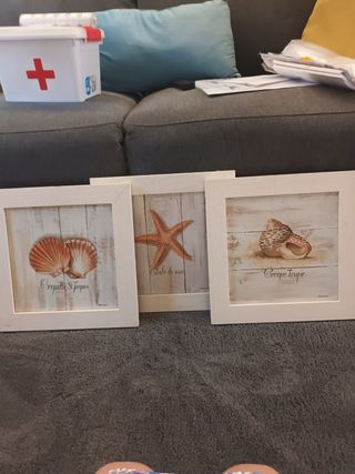 3 Cuadros Decorativos conchas, estrella mar