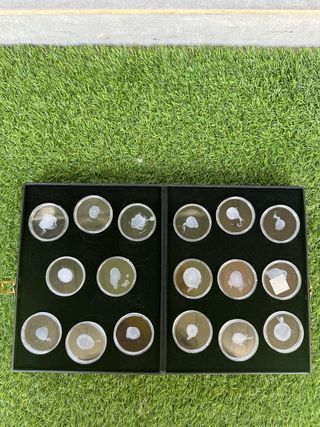 Estuche monedas - 17 unidades 
