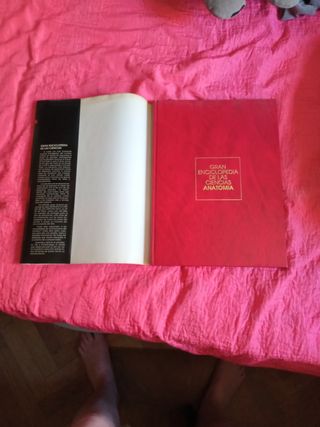 Atlas De Anatomía