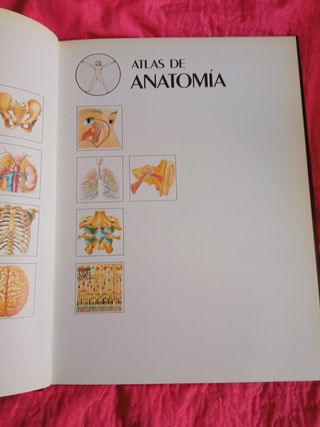 Atlas De Anatomía