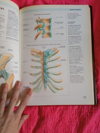 Atlas De Anatomía