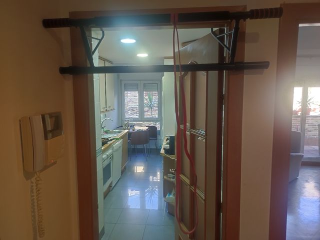 Barra dominadas + goma elástica