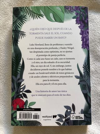 Boulevard. Libro 1 (edición revisada por la aut...