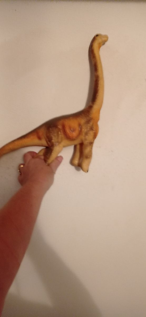 Dinosauri e giochi bimbi