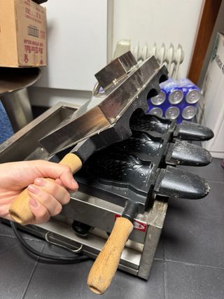 Plancha Taiyaki 6 moldes