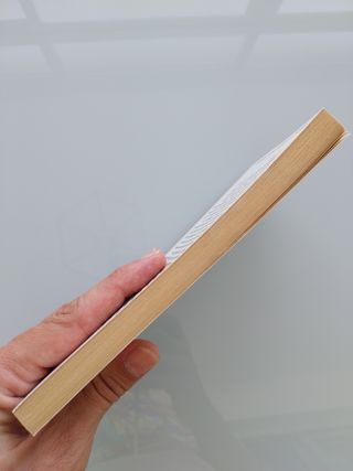 Fundadores de las matemáticas modernas