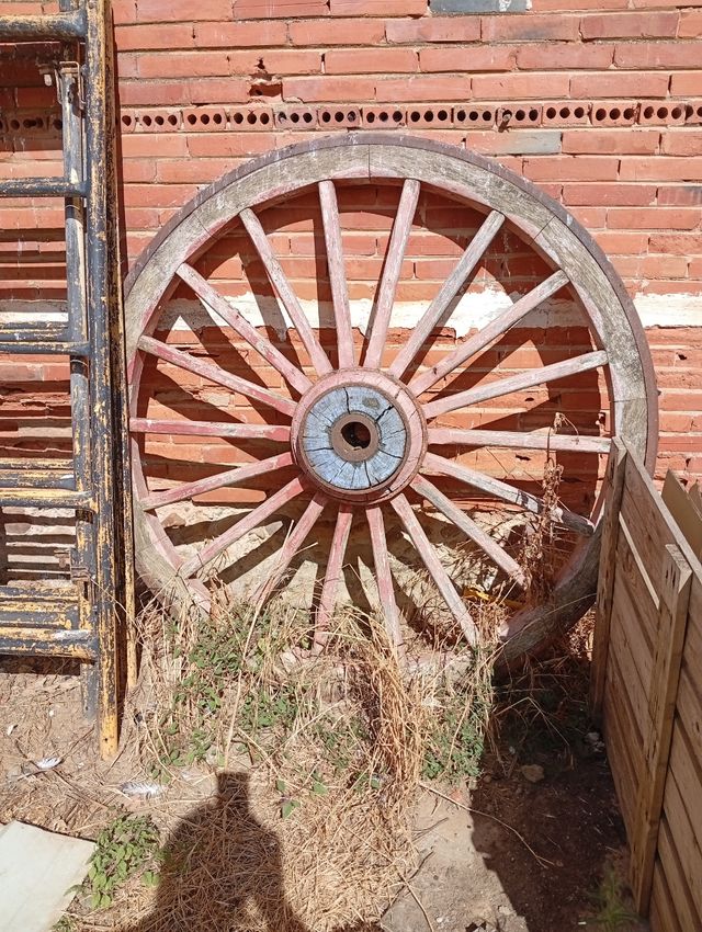 Rueda carro antiguo - Decoración