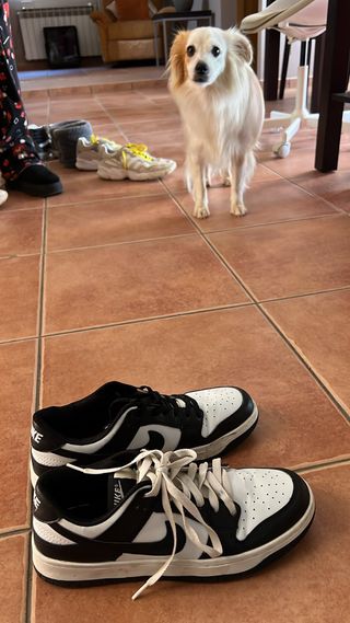 Zapatillas Nike Dunk Low - Blanco y Negro
