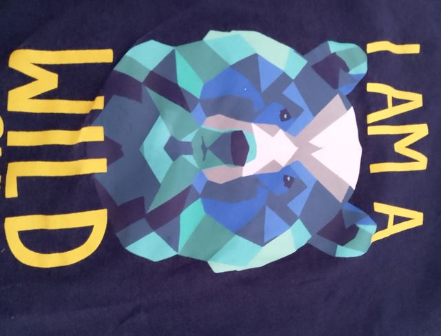 4 Camisetas niño 2-3 años