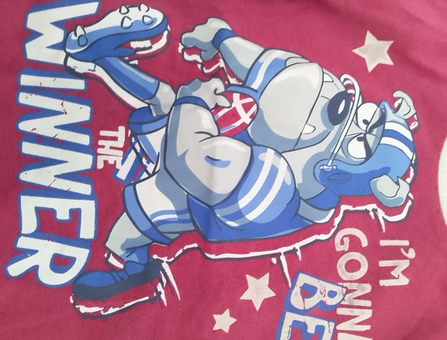 4 Camisetas niño 2-3 años