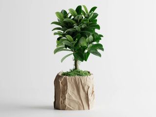 Maceta 3d diseño arrugado
