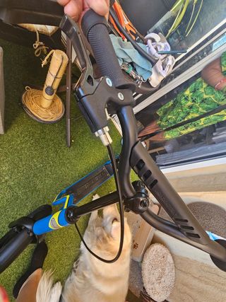 Patinete Star scooter 10"/ 12"