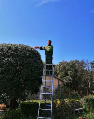 Podadora de setos árboles desbroces limpieza de 