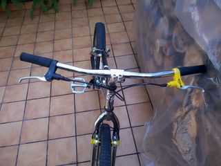 Monty Alp 219