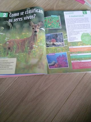 CIENCIAS DA NATUREZA 5 (COMUNIDADE ZOOM)