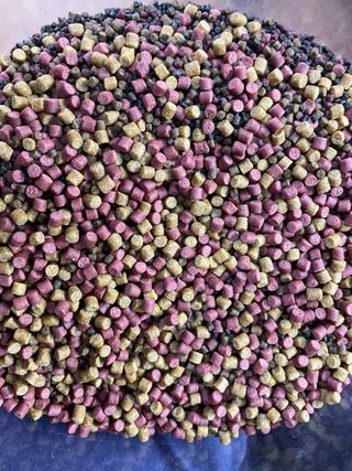 10 Bolsas PVA  CarpFishing 