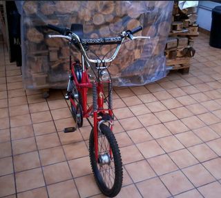 Rabasa Panther Motocross Mach 2