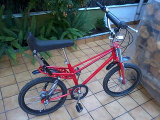 Rabasa Panther Motocross Mach 2