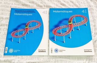 MATEMÀTIQUES 4 ESO CONSTRUINT MONS