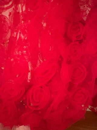 Vestido rojo For Love & Lemons