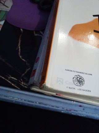Lengua castellana y Literatura 1 Bachillerato (...
