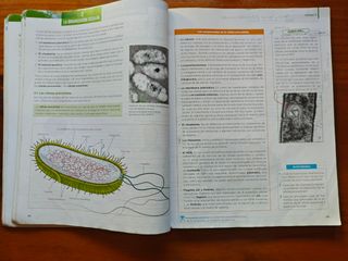 Libro Biología 2° Bachillerato (Anaya Suma Piezas)