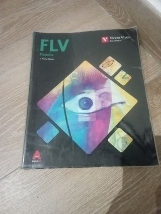 FLV (FILOSOFIA VALENCIA BATXILLERAT) AULA 3D