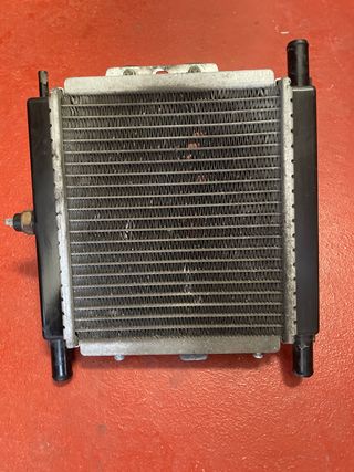 Radiador Peugeot Satelis 125 (05)