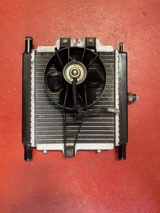Radiador Peugeot Satelis 125 (05)