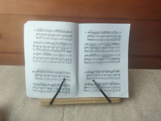 Técnica Básica Lenguaje Musical - Xavier Boliart