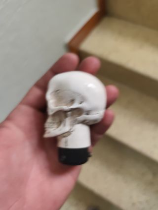 Pomo calavera - Cráneo universal