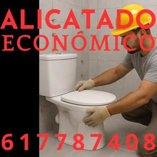 ALICATADO ECONÓMICO